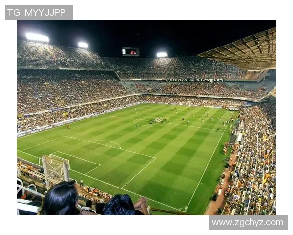 啄木鸟足球明星：探索绿茵场上的传奇与激情之旅